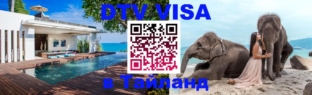 Сколько стоит DTV виза — актуальные цены, оформление даже без документов - 19.11.2025 